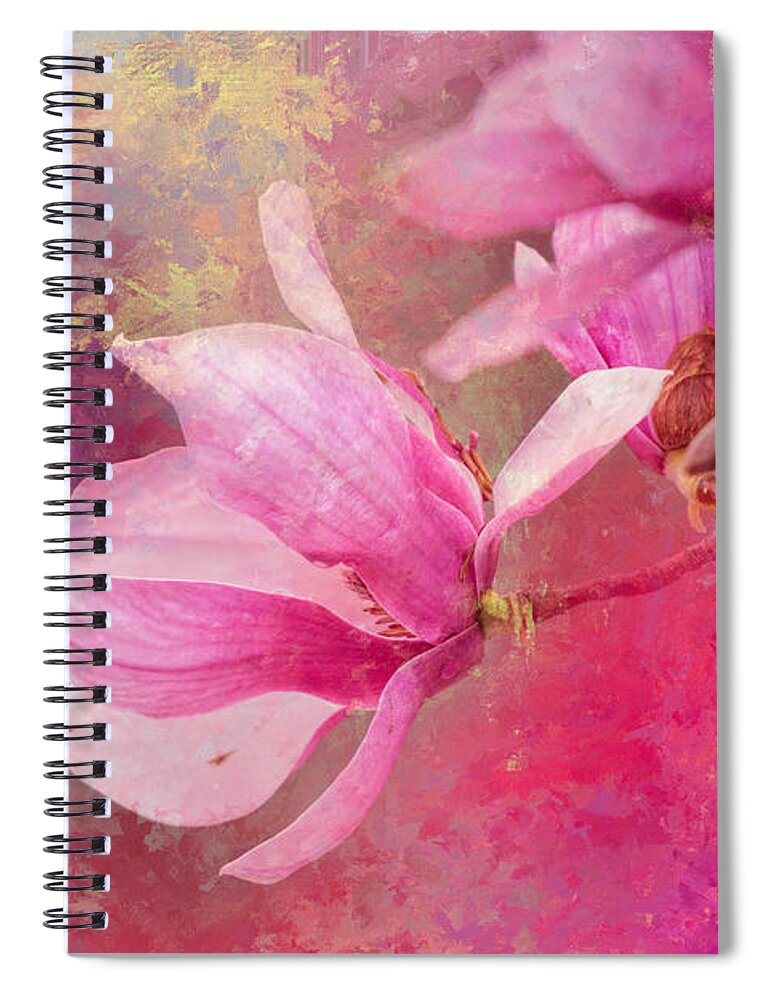 Jai Johnson Spiral Notebook featuring the photograph Pink Tulip Magnolia In Spring by Jai Johnson