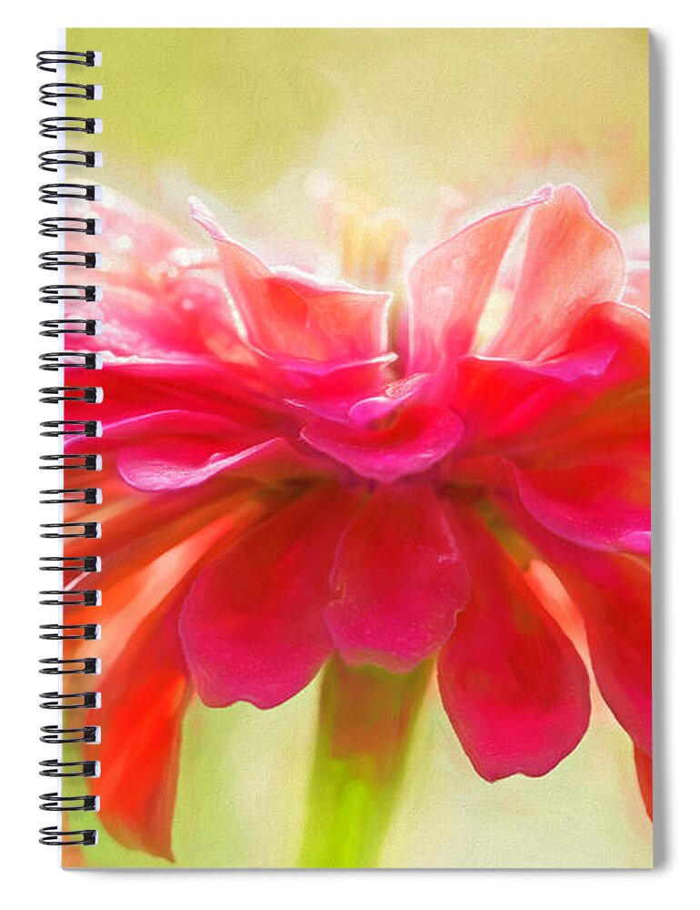Zinnia Spiral Notebook featuring the photograph Pink Zinnia by Cindi Ressler
