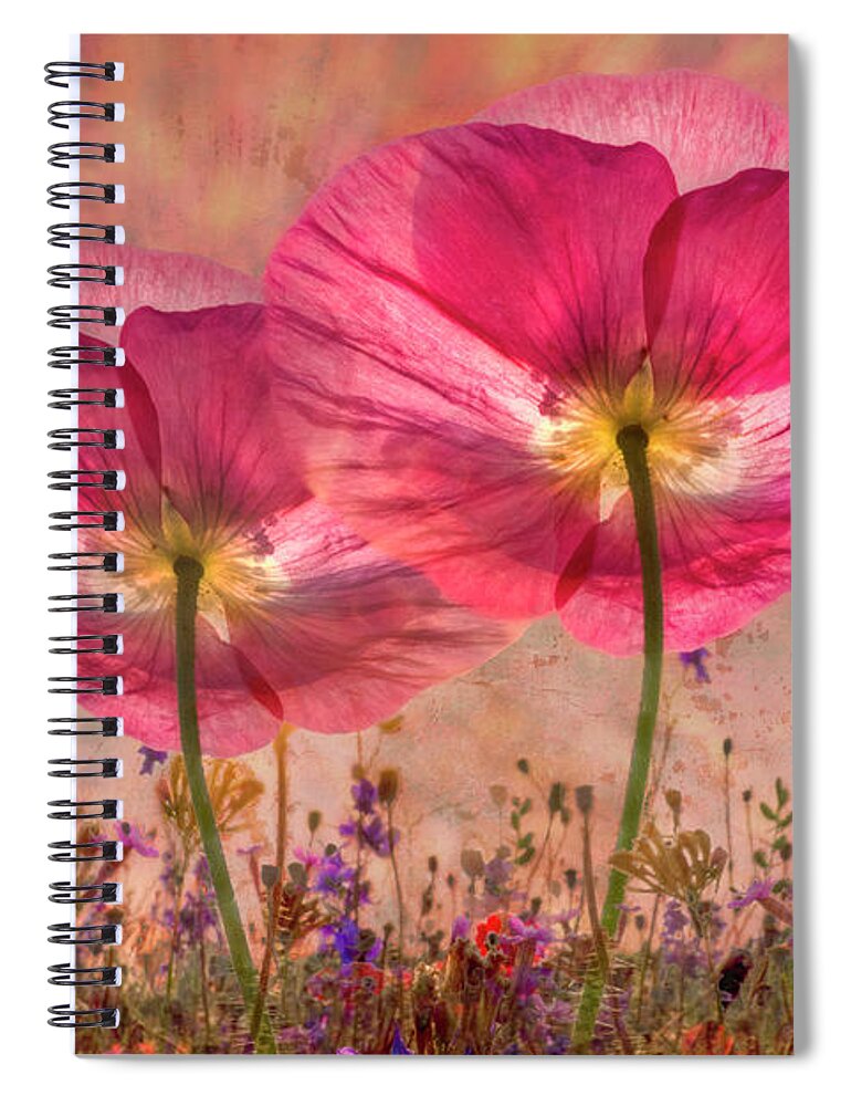Appalachia Spiral Notebook featuring the photograph Pinks in the Morning by Debra and Dave Vanderlaan