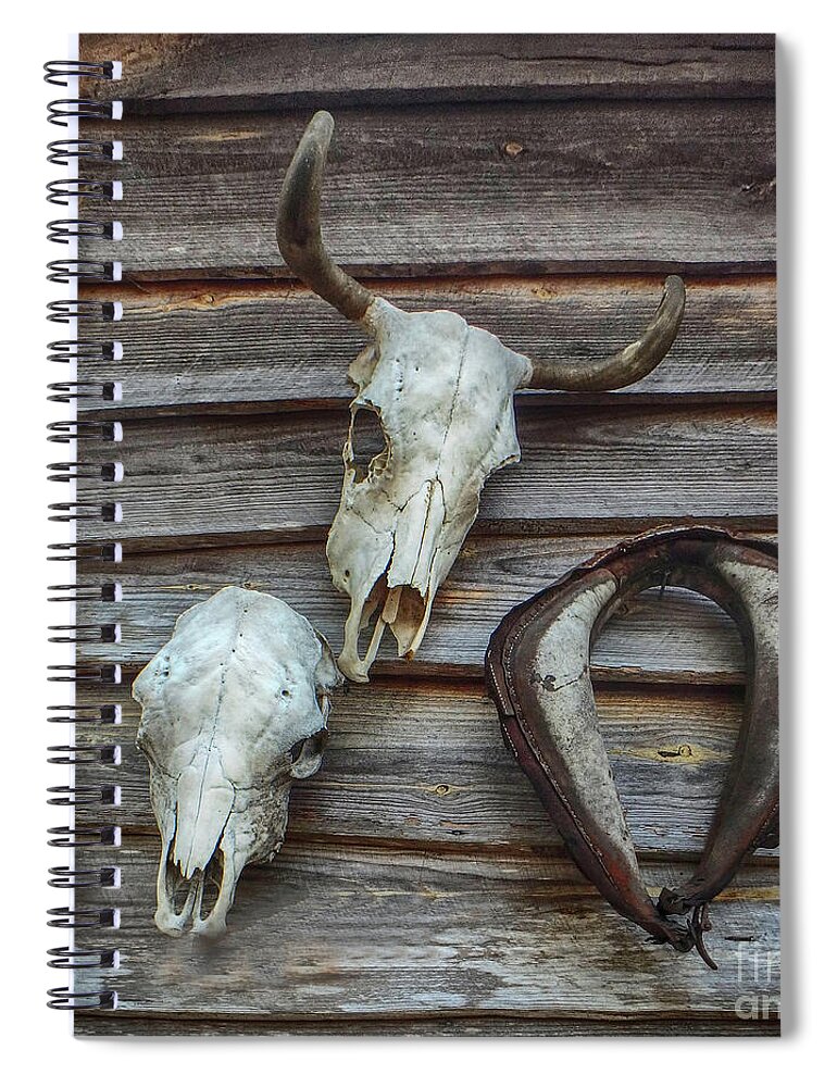 Skulls Spiral Notebook featuring the photograph Pioneer Trophies by Judy Hall-Folde