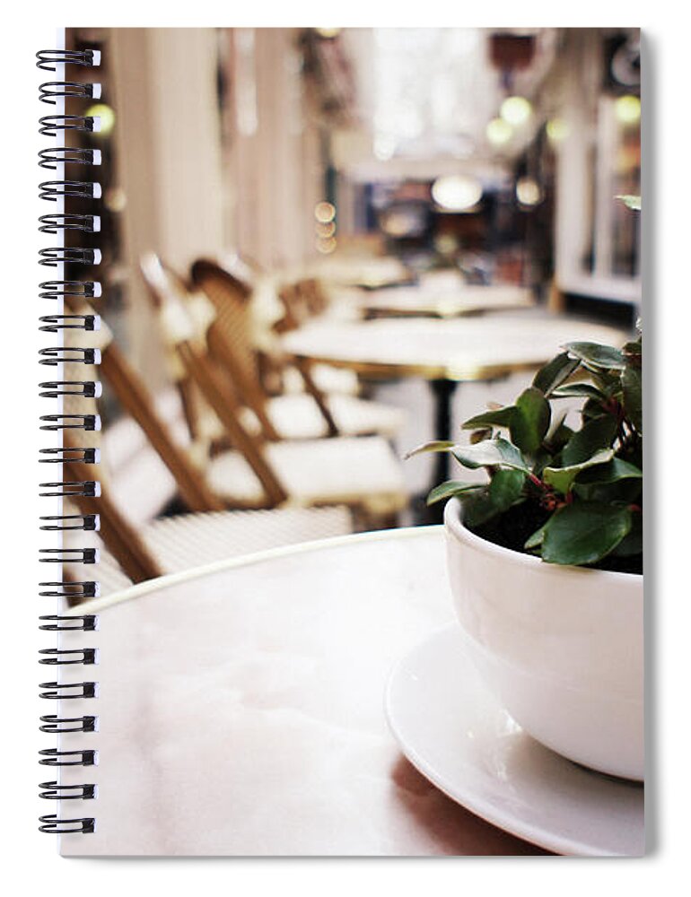 Cardiff Spiral Notebook featuring the photograph Plant in a Cup in a Cafe by Trance Blackman