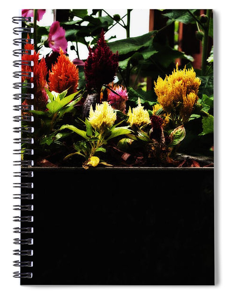 Flora Spiral Notebook featuring the photograph Planted Flames by Ed Peterson