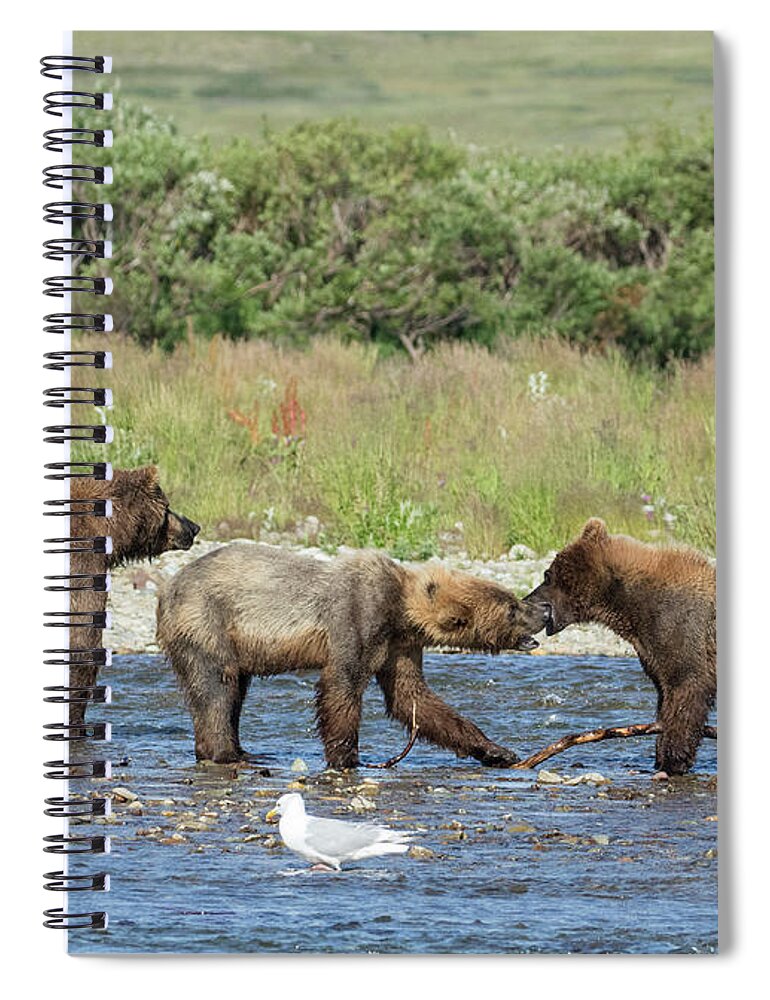 Alaska Spiral Notebook featuring the photograph Playful Cubs by Cheryl Strahl