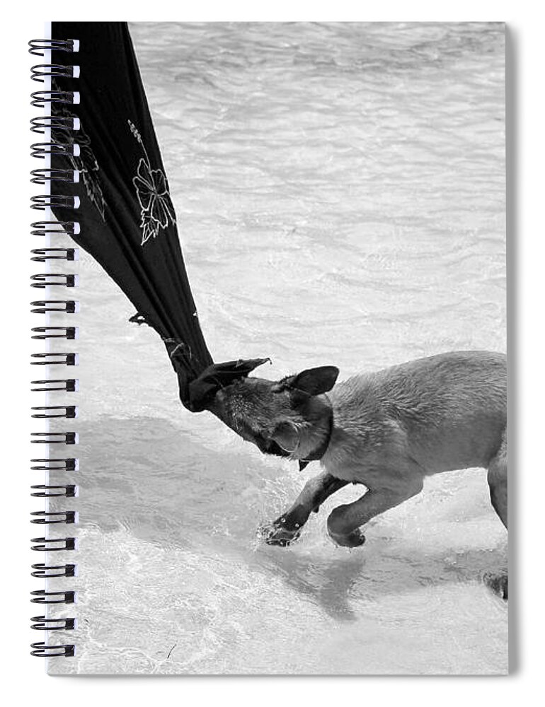 Shadows Spiral Notebook featuring the photograph First Time At The Beach by Fiona Kennard