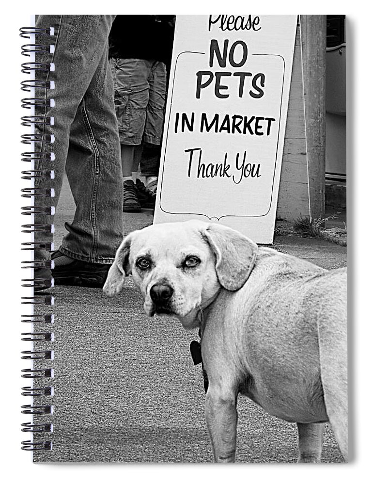 Dog Spiral Notebook featuring the photograph Please No Pets in Market by Mitch Spence
