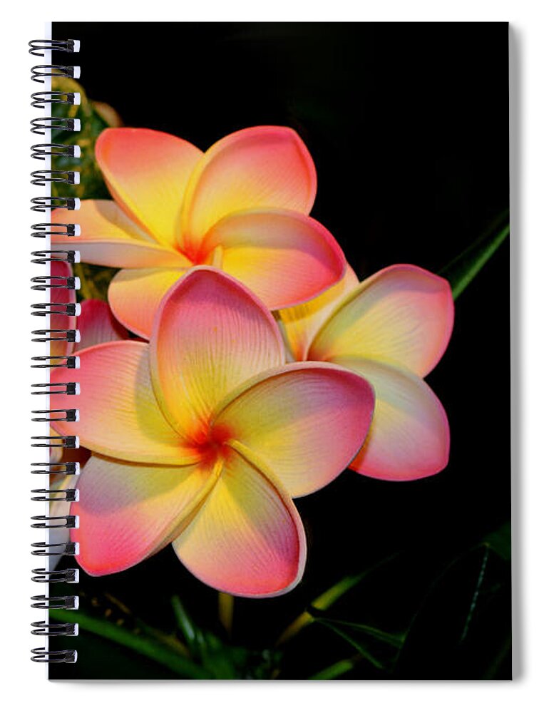 Plumeria Spiral Notebook featuring the photograph Plumeria by Living Color Photography Lorraine Lynch