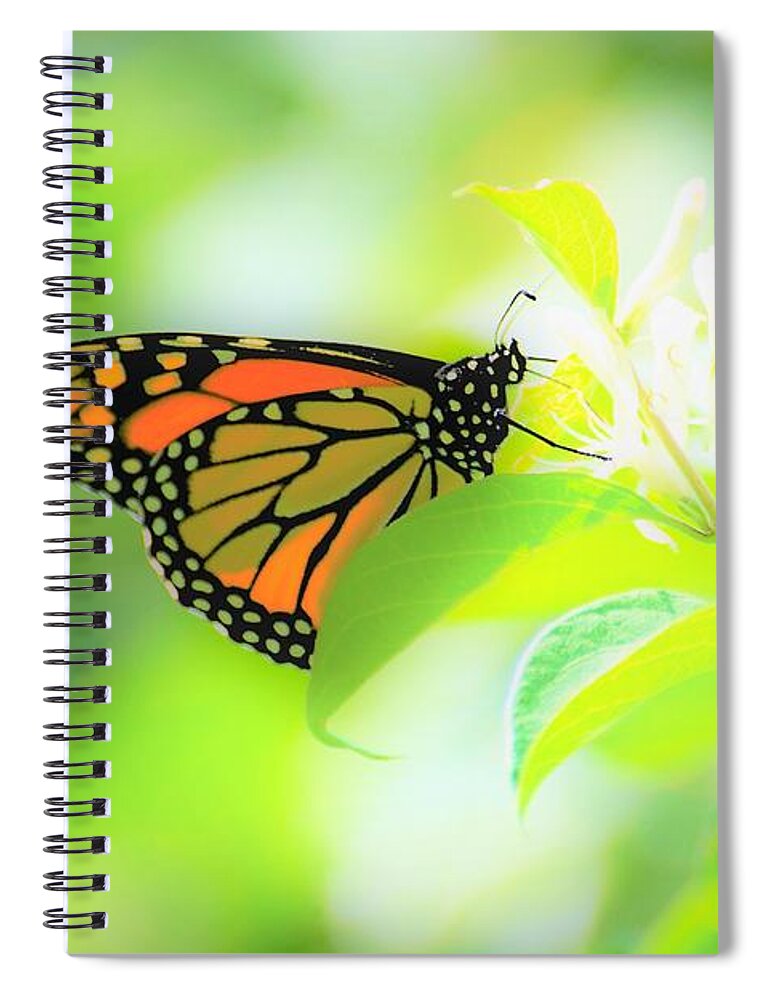 Butterflies Spiral Notebook featuring the photograph Poka Dots by Merle Grenz