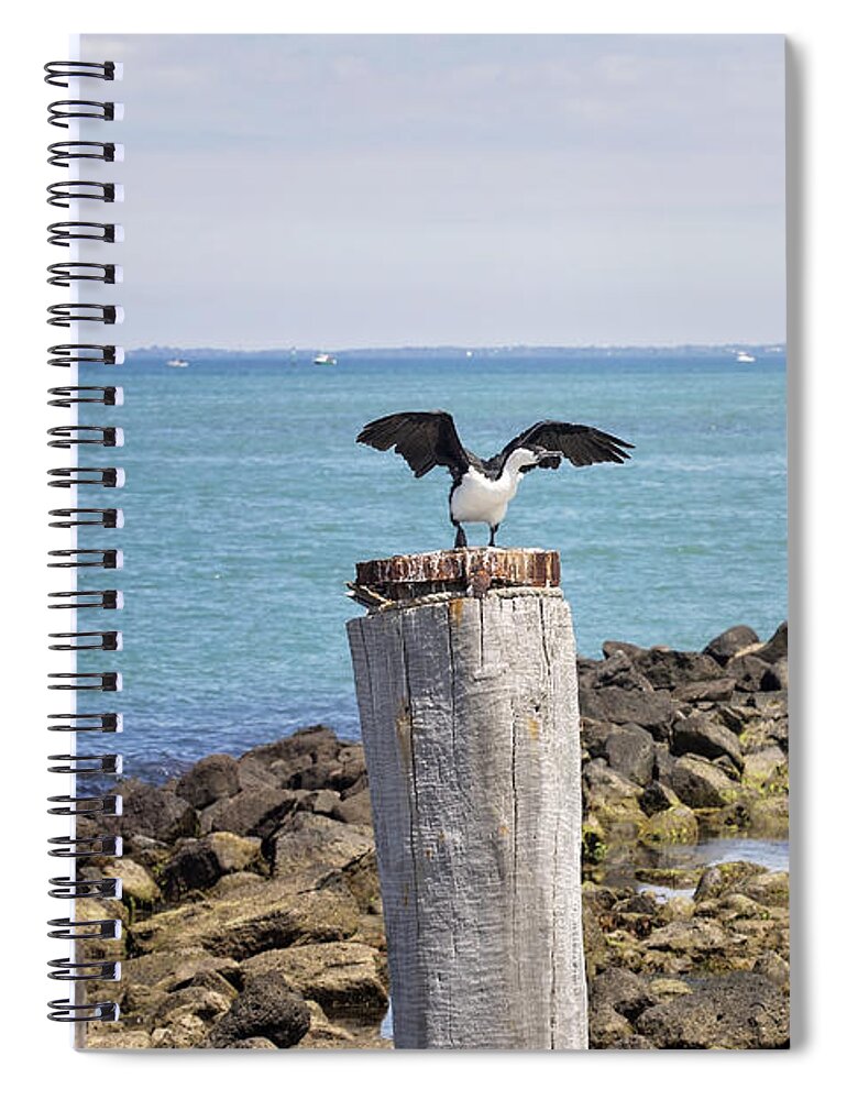 Beach Spiral Notebook featuring the photograph Pole Sitters by Linda Lees