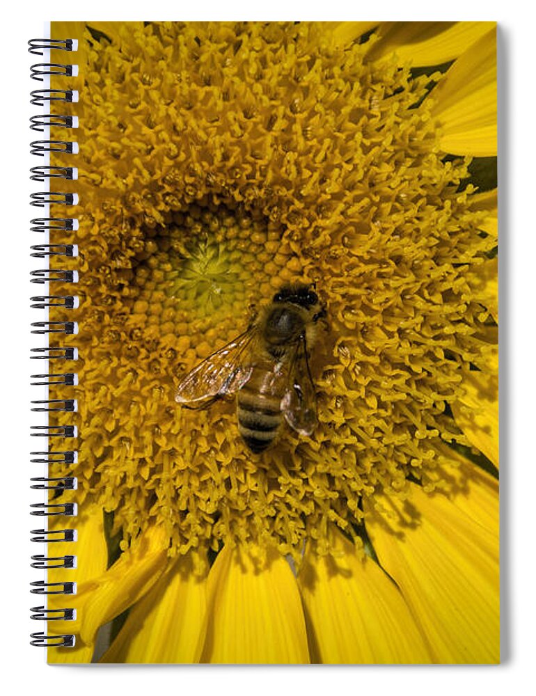 Nature Spiral Notebook featuring the photograph Pollinating The Delta by Janice Pariza