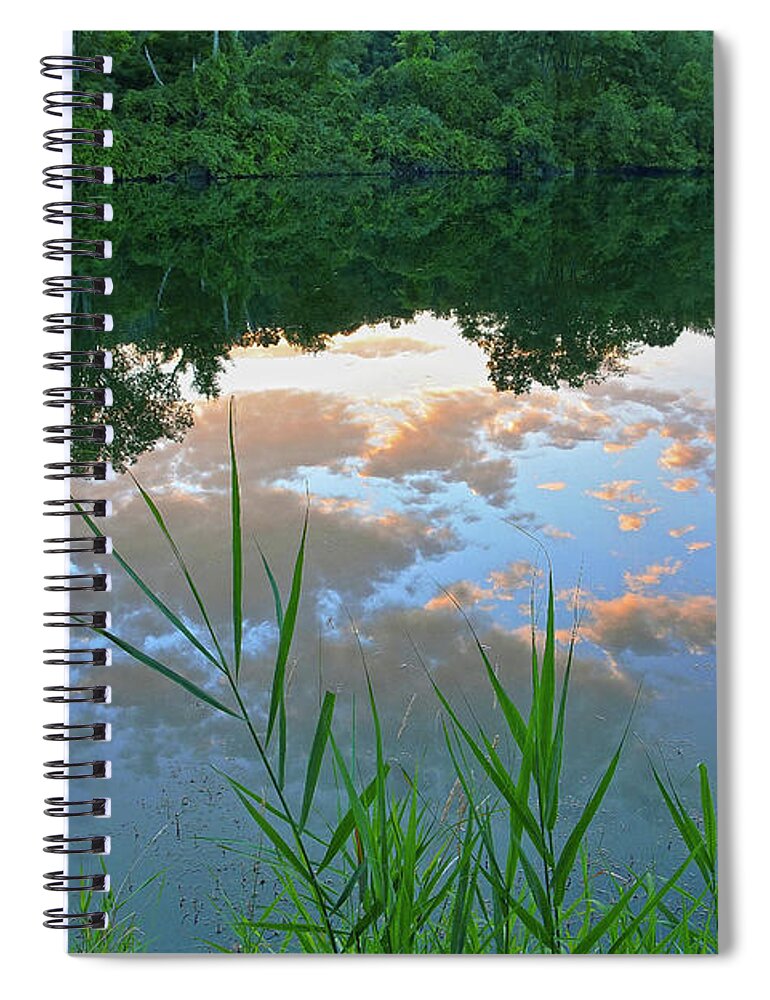 Reflections Spiral Notebook featuring the photograph Pondering by Angelo Marcialis