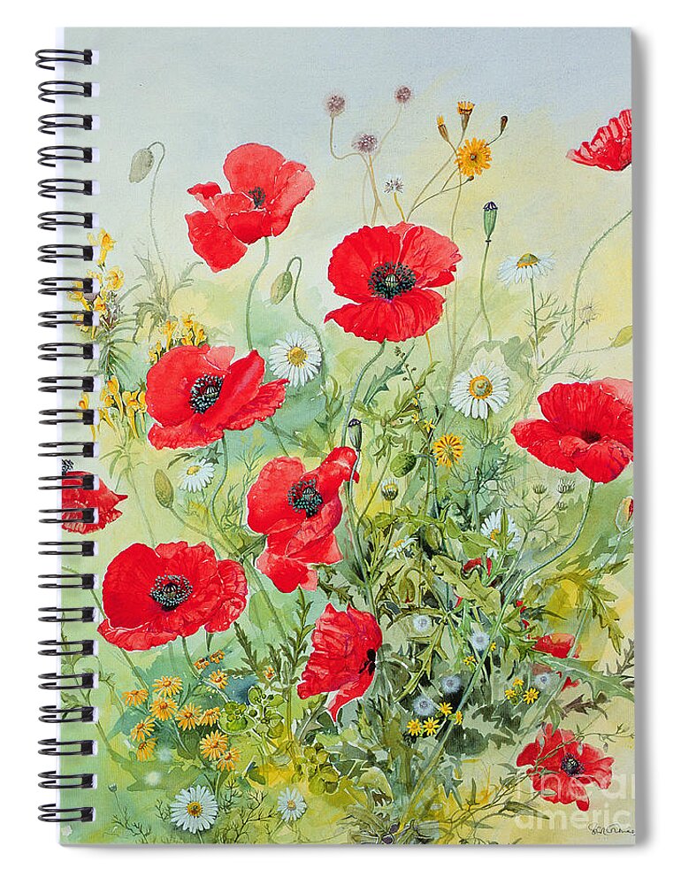 Flowers; Botanical; Flower; Poppies; Mayweed; Leaf; Leafs; Leafy; Flower; Red Flower; White Flower; Yellow Flower; Poppie; Mayweeds Spiral Notebook featuring the painting Poppies and Mayweed by John Gubbins