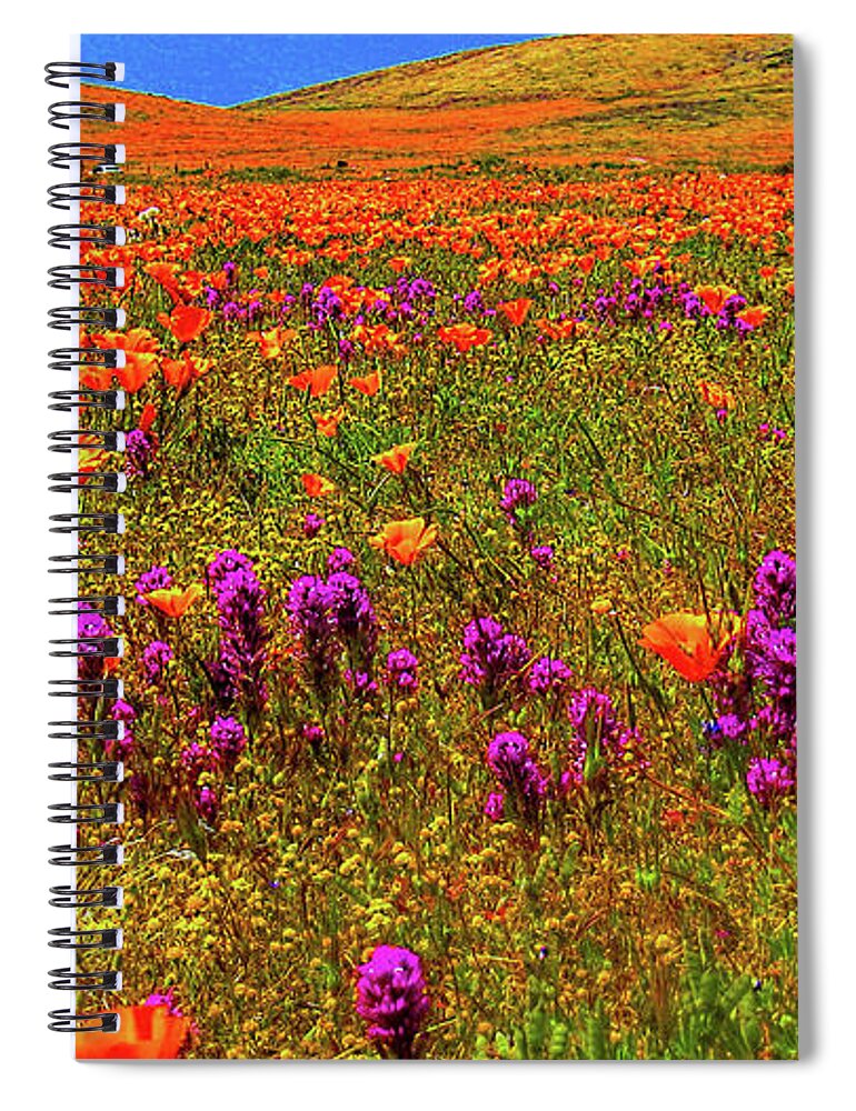 Wild Flowers Spiral Notebook featuring the photograph Poppies by Mark Jackson