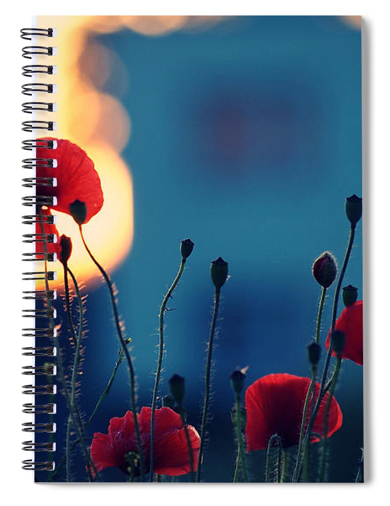 Poppy Spiral Notebook featuring the photograph Poppy by Jackie Russo