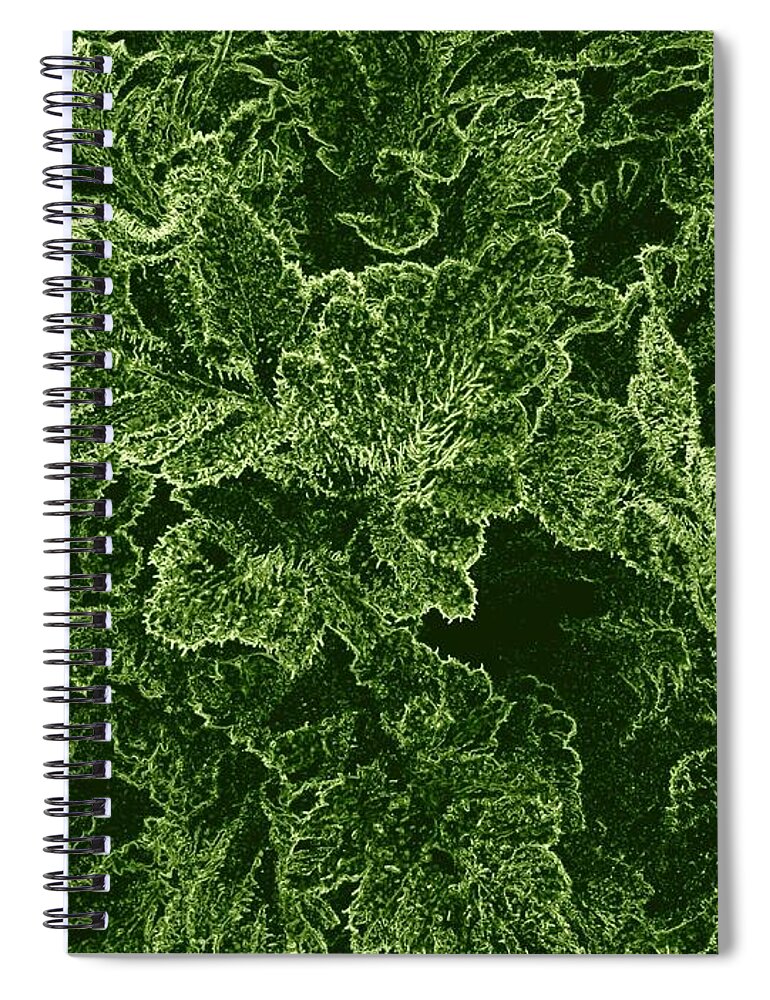 #poppyleaves Spiral Notebook featuring the digital art Poppy Leaves by Will Borden