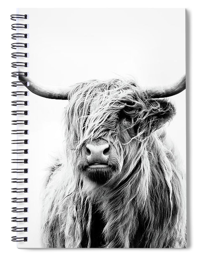 #faatoppicks Spiral Notebook featuring the photograph Portrait Of A Highland Cow by Dorit Fuhg