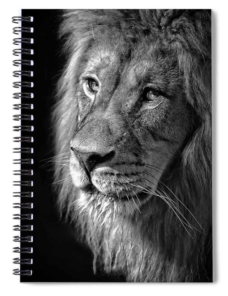 Portrait Of A King Spiral Notebook featuring the photograph Portrait Of A King by Wes and Dotty Weber