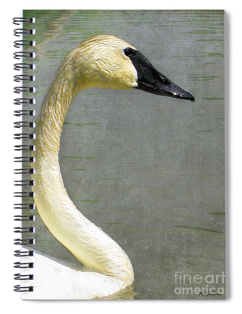 Swan Spiral Notebook featuring the photograph Portrait of a Pond Swan by Nina Silver