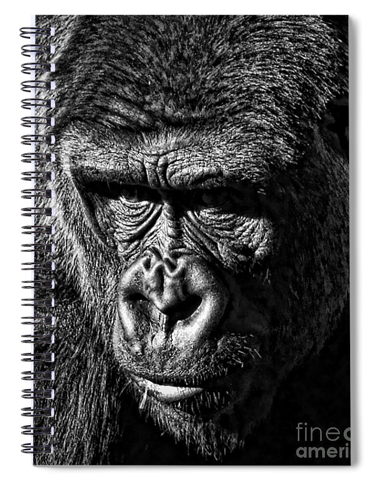Ape Spiral Notebook featuring the photograph Portrait of a Silverback II by Jim Fitzpatrick
