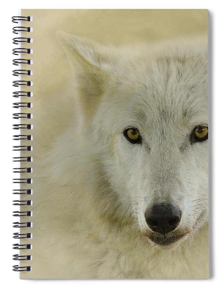 Jai Johnson Spiral Notebook featuring the photograph Portrait of a Timber Wolf by Jai Johnson