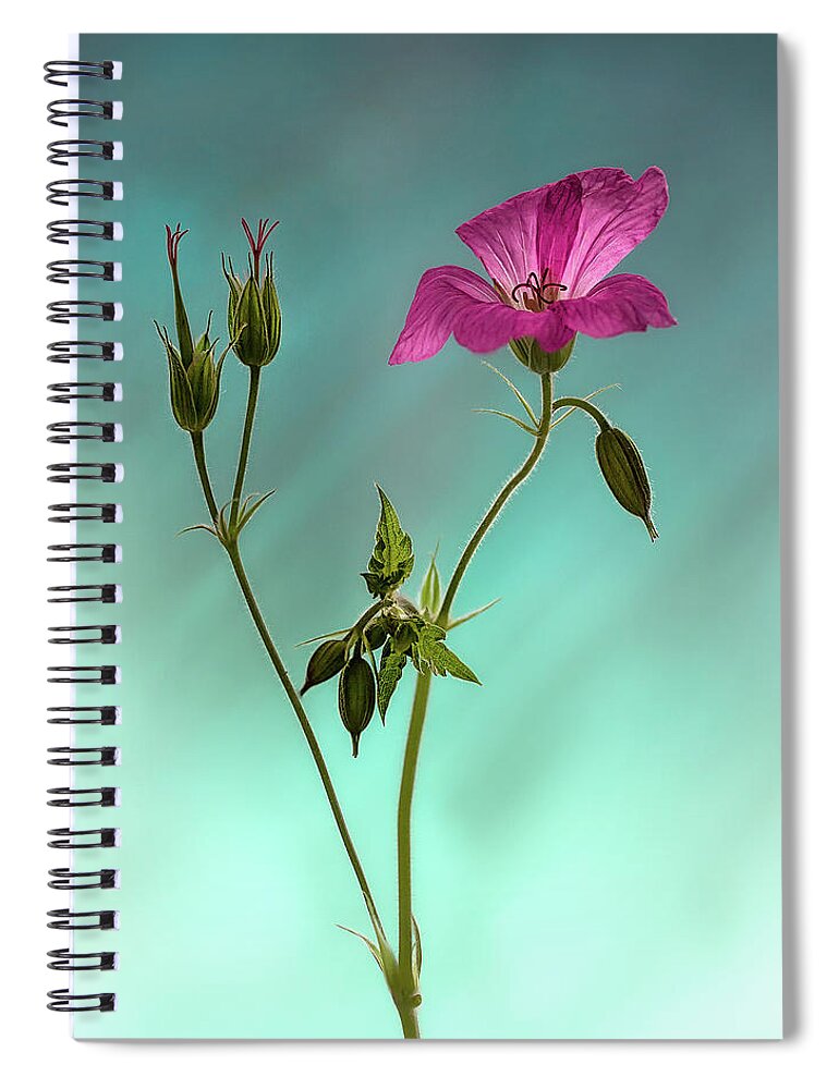 Floral Spiral Notebook featuring the photograph portrait of an English Geranium by Shirley Mitchell