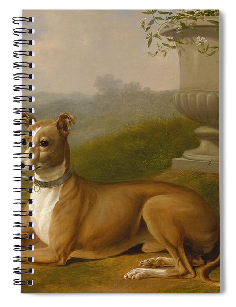 Thomas Hewes Hinckley Spiral Notebook featuring the painting Portrait of Rover by Thomas Hewes Hinckley