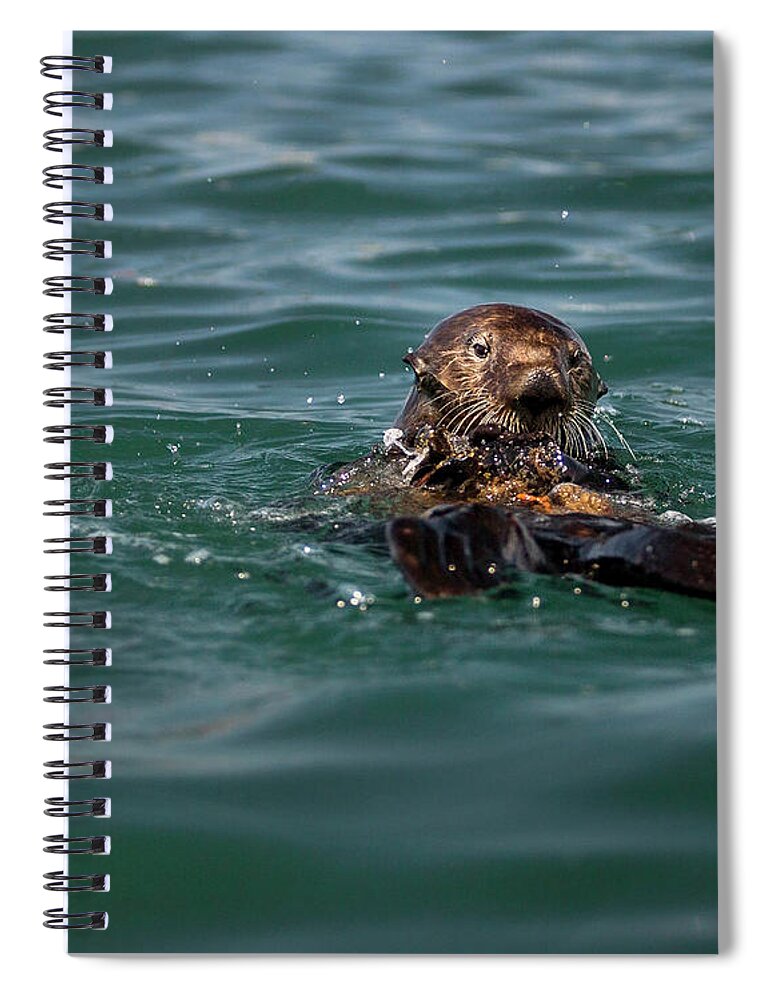 Nature Spiral Notebook featuring the photograph Pounding Muscle by Denise Dube