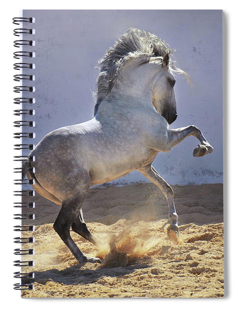 Russian Artists New Wave Spiral Notebook featuring the photograph Power in Motion by Ekaterina Druz