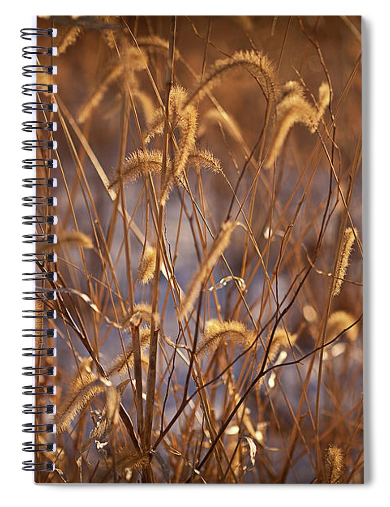 Midewin Spiral Notebook featuring the photograph Prairie Grass Blades by Steve Gadomski