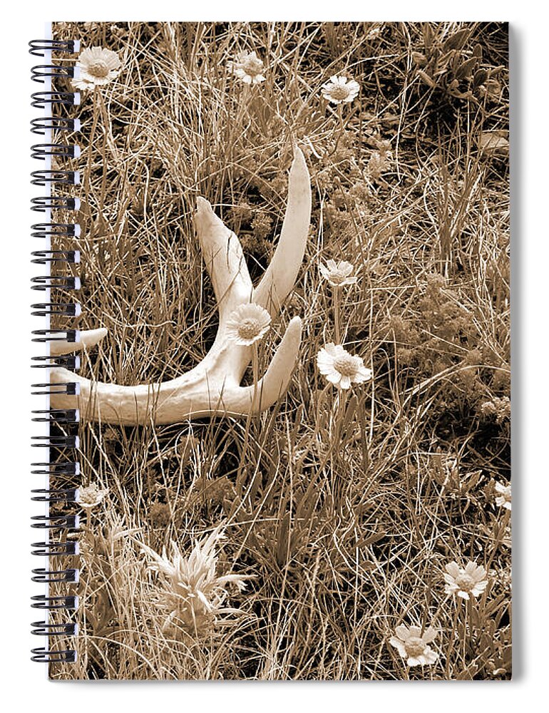 North Dakota Spiral Notebook featuring the photograph Prairie Spring by Cris Fulton