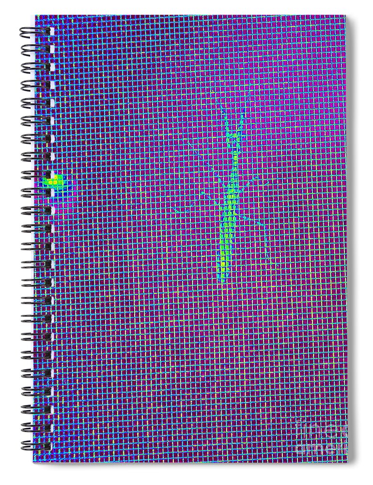 Praying Mantis Spiral Notebook featuring the photograph Praying Mantis with Moon by Mars Besso