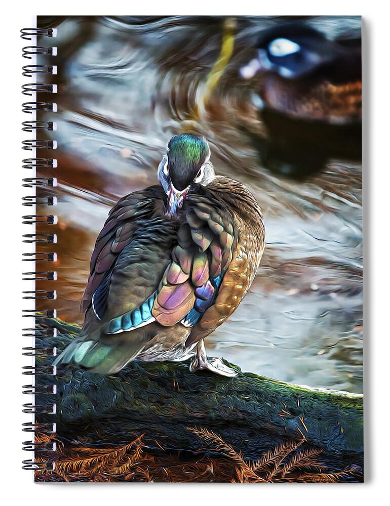 Wildlife Spiral Notebook featuring the photograph Preening Wood Duck Hen by Bill and Linda Tiepelman