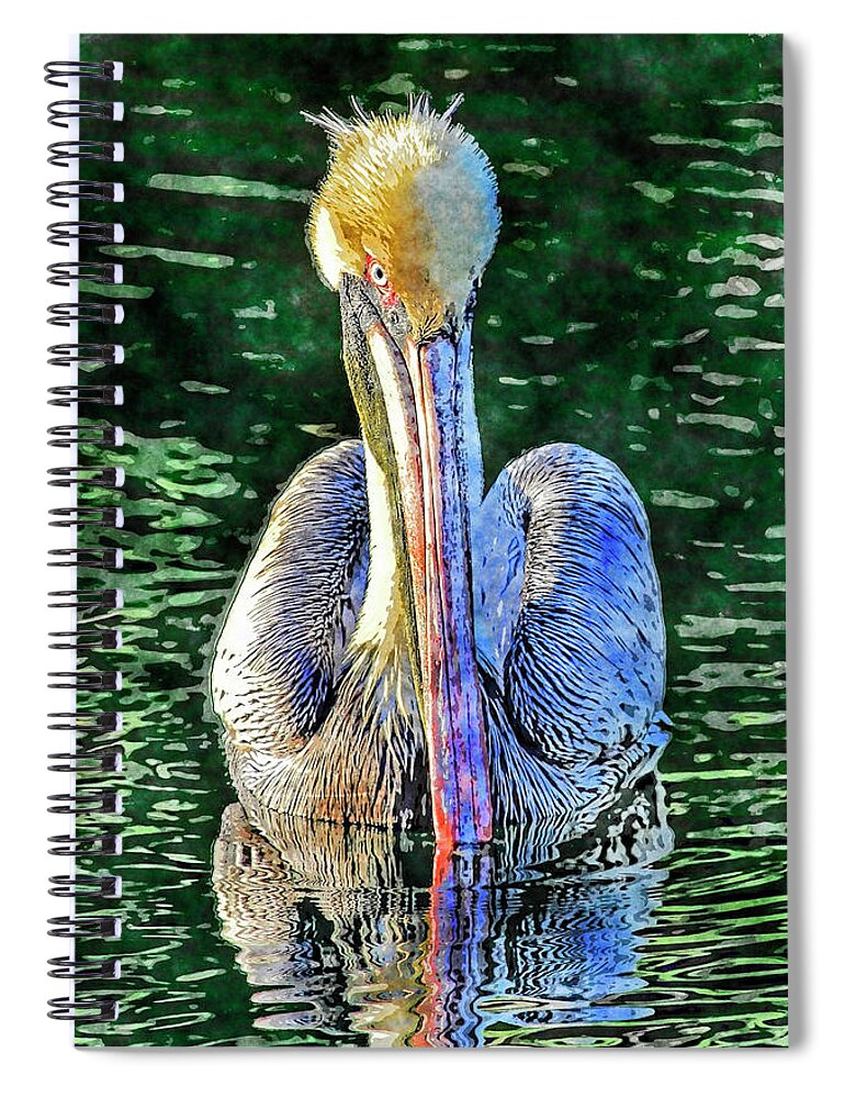 Brown Pelican Spiral Notebook featuring the photograph Pretty Boy by HH Photography of Florida