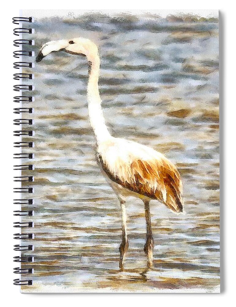 Flamingo Spiral Notebook featuring the painting Pretty Flamingo Fledgling Watercolor by Taiche Acrylic Art