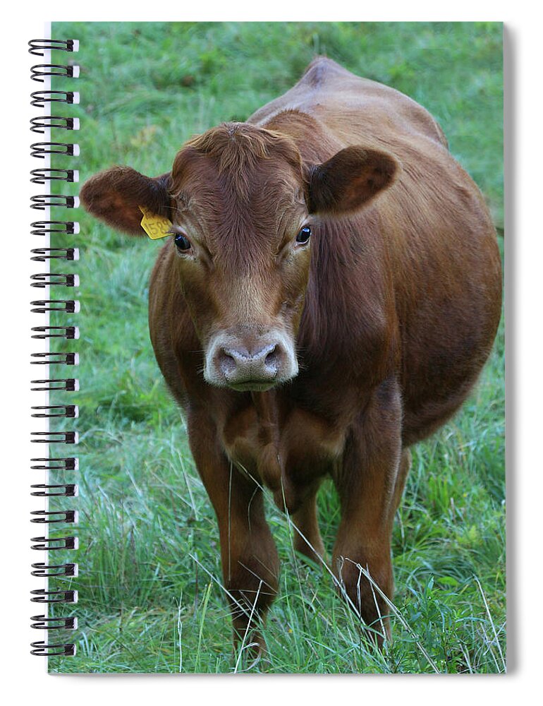 Pretty Spiral Notebook featuring the photograph Pretty Girl with Big Beautiful Eyes by Allen Beatty