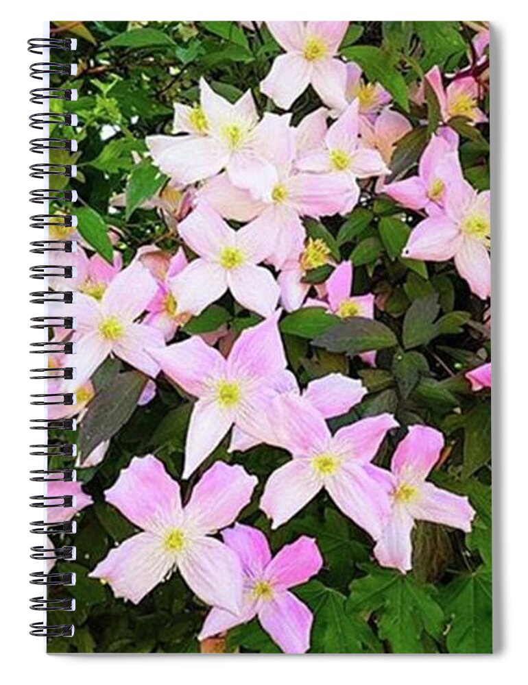 Abundance Spiral Notebook featuring the photograph Pretty In Pink by Rowena Tutty
