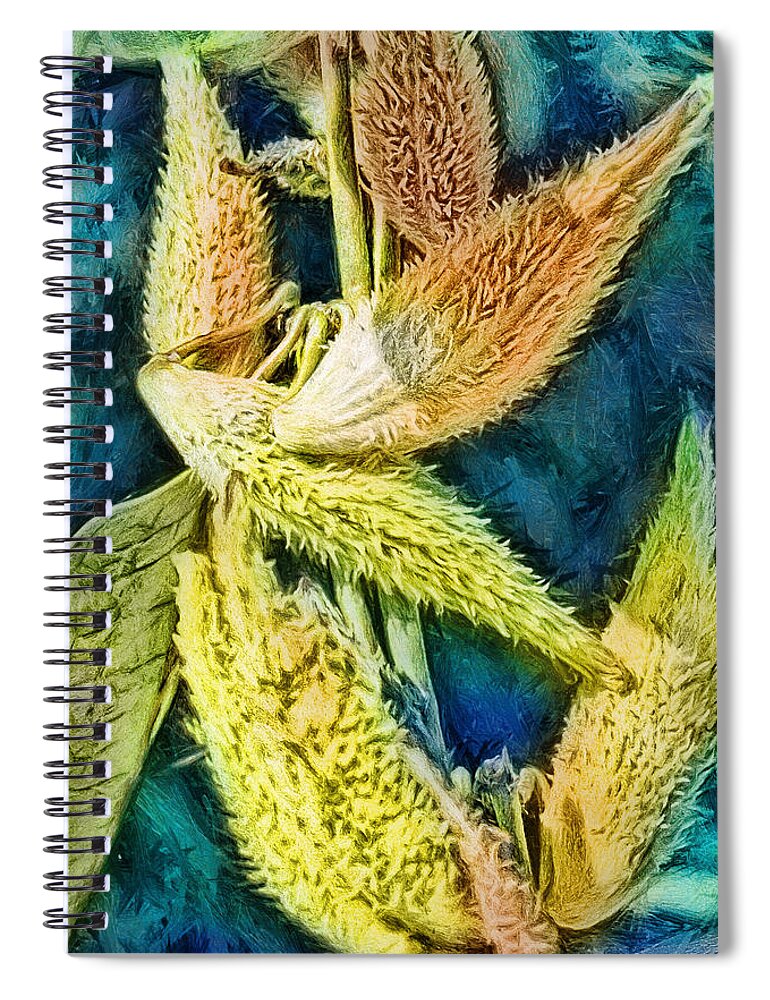 Plants Spiral Notebook featuring the digital art Prickly Pods by Jo-Anne Gazo-McKim