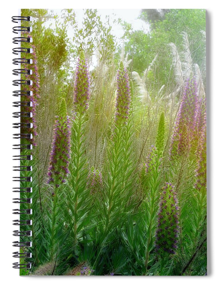 Pride Of Madeira Spiral Notebook featuring the photograph Pride of Madeira by Alison Frank
