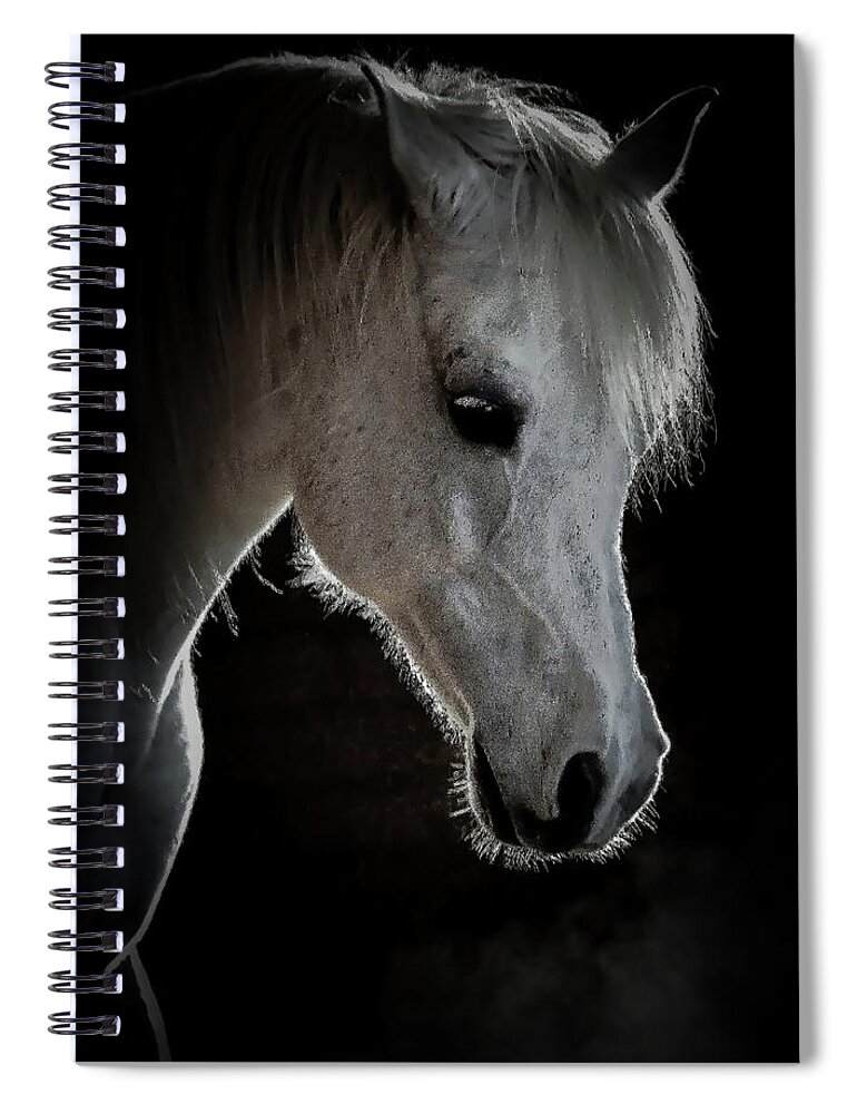 Horse Spiral Notebook featuring the photograph Prince #1 by Athena Mckinzie