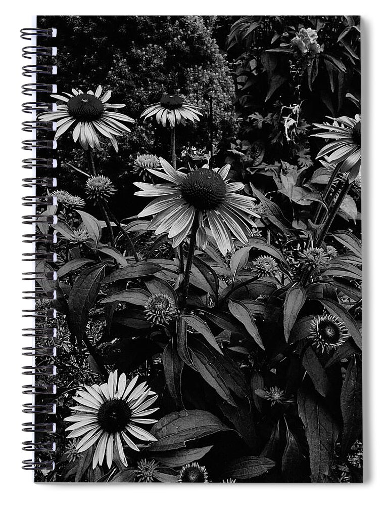 Black And White Photography Spiral Notebook featuring the photograph Prosperity by Frank J Casella