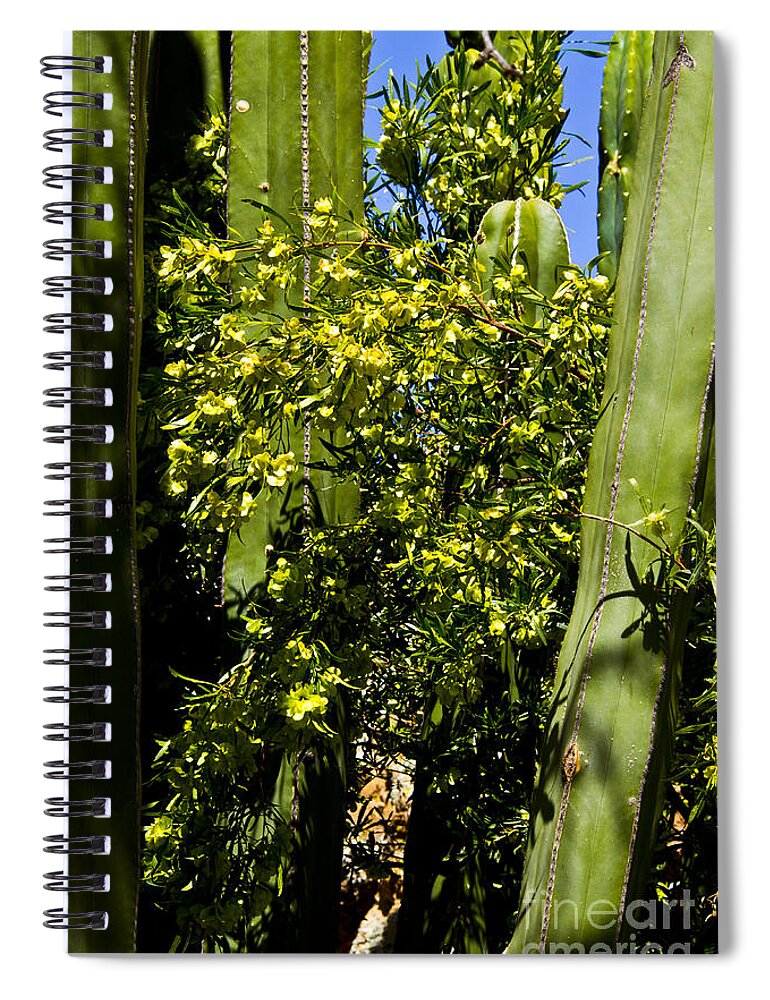 Arizona Spiral Notebook featuring the photograph Protected by Kathy McClure