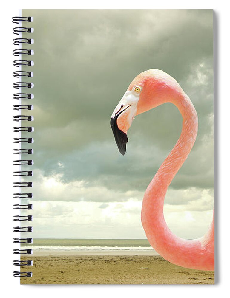 Flamingo Spiral Notebook featuring the photograph Proud to be pink by Adriana Zoon
