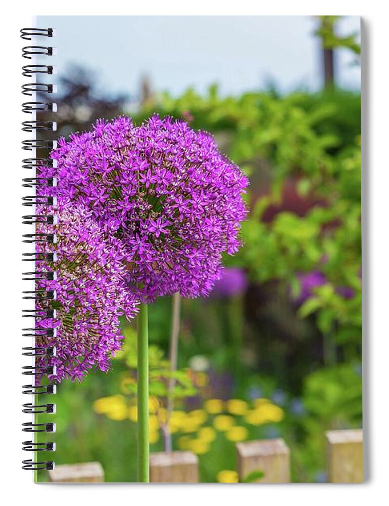 Provincetown Spiral Notebook featuring the photograph Provincetown Blooms by Marisa Geraghty Photography