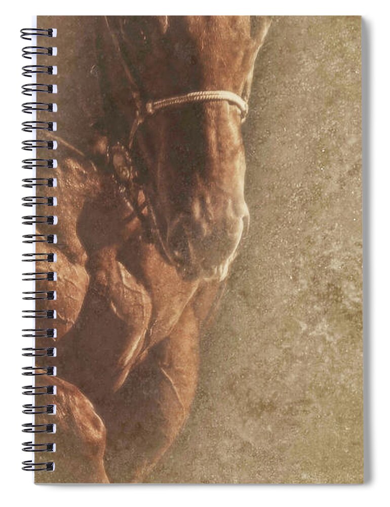 Prowess Spiral Notebook featuring the photograph Prowess and Power by Amanda Smith