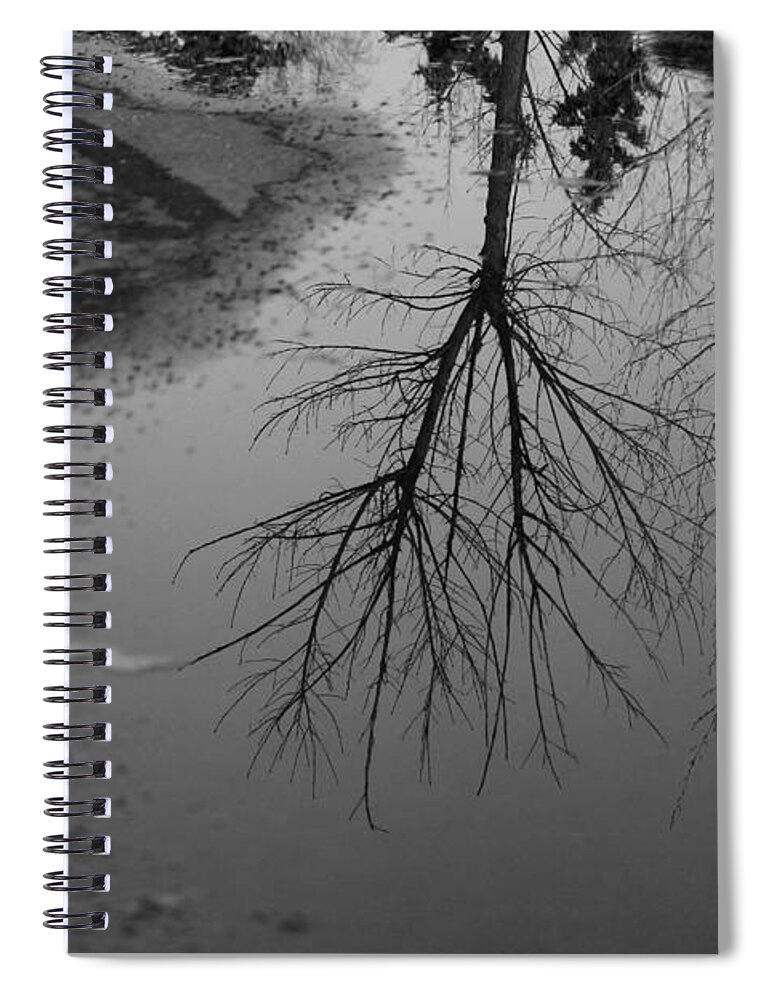 Spring Thaw Spiral Notebook featuring the photograph Puddles by Ann E Robson