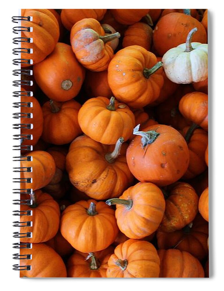 Autumn Spiral Notebook featuring the photograph Pumpkin Babies by Robert Wilder Jr