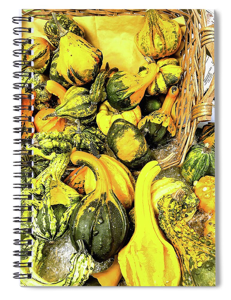 Pumpkin Family By Marina Usmanskaya Spiral Notebook featuring the photograph Pumpkin family by Marina Usmanskaya