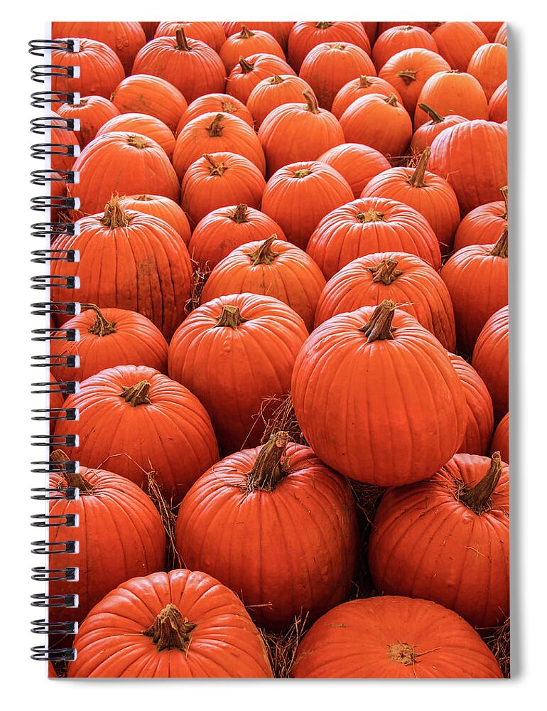Autumn Spiral Notebook featuring the photograph Pumpkin Patch by Robert Wilder Jr