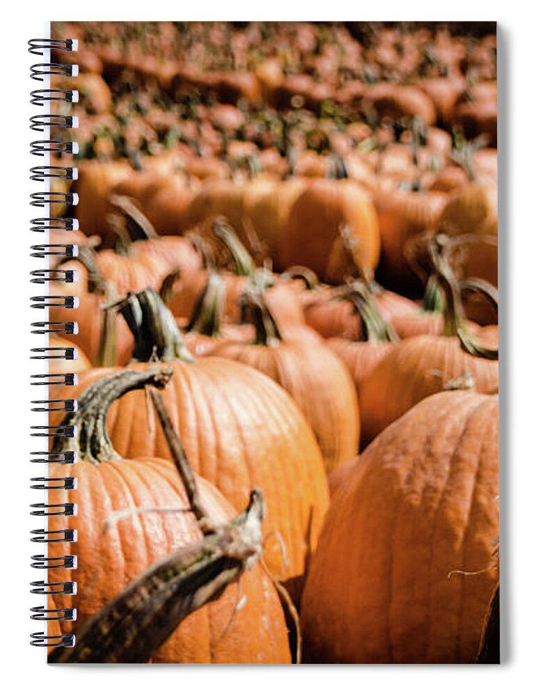 Holiday Spiral Notebook featuring the photograph Pumpkins 18 by Andrea Anderegg