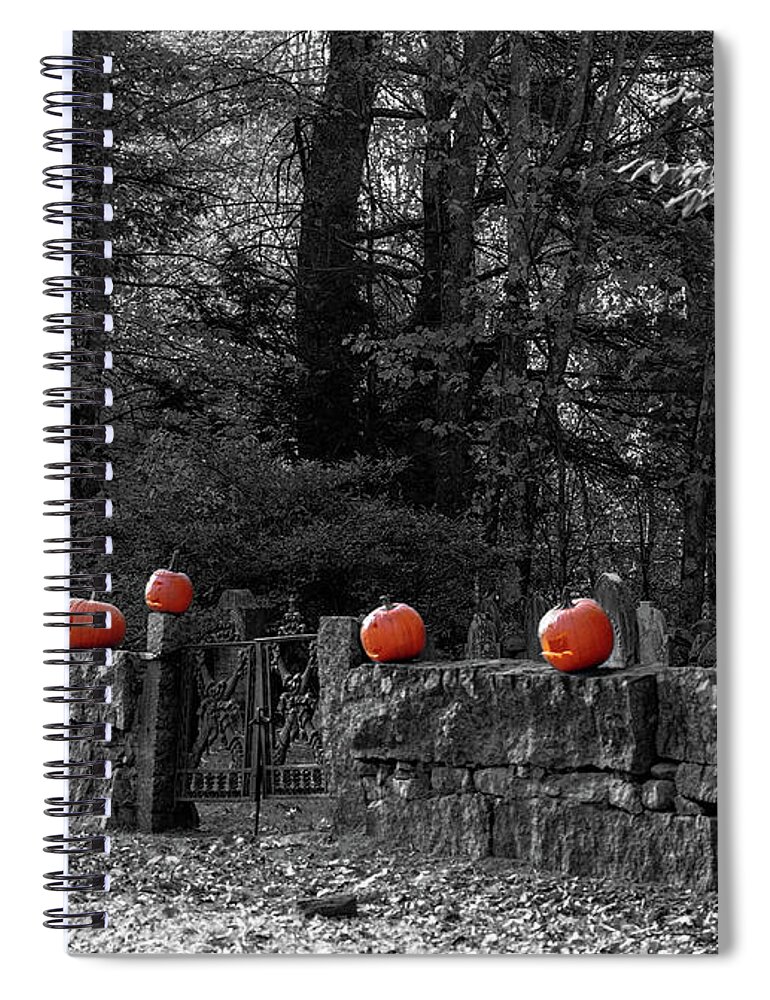Pumpkins Spiral Notebook featuring the photograph Pumpkins on a wall by Mim White