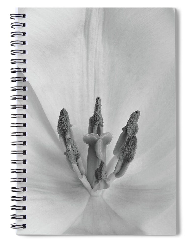 Bath Decor Spiral Notebook featuring the photograph Purity by David and Carol Kelly
